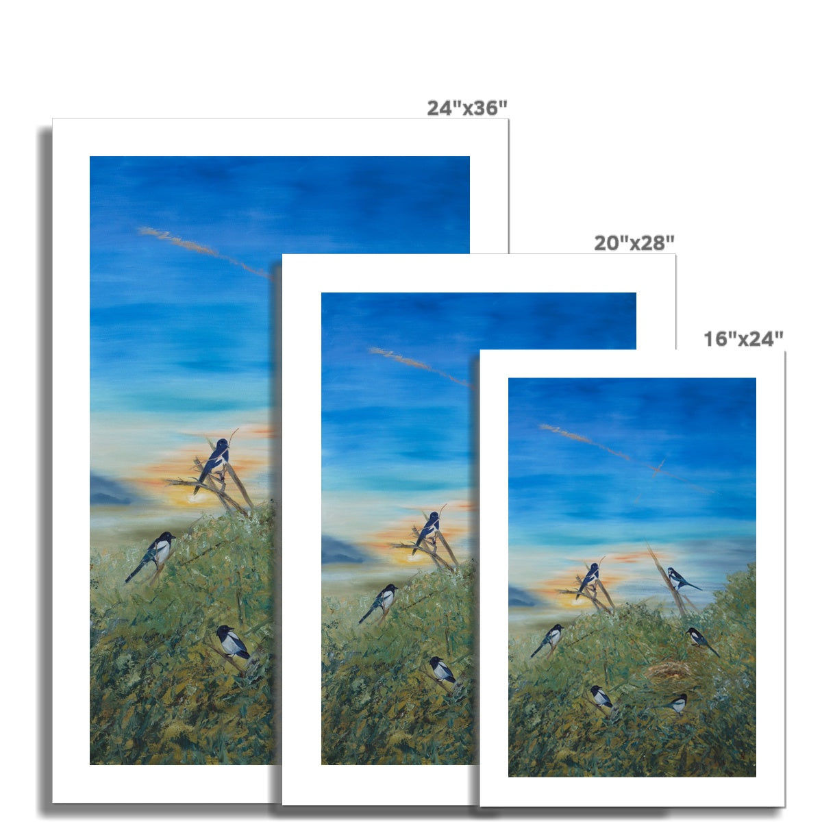 Six For Gold Fine Art Print