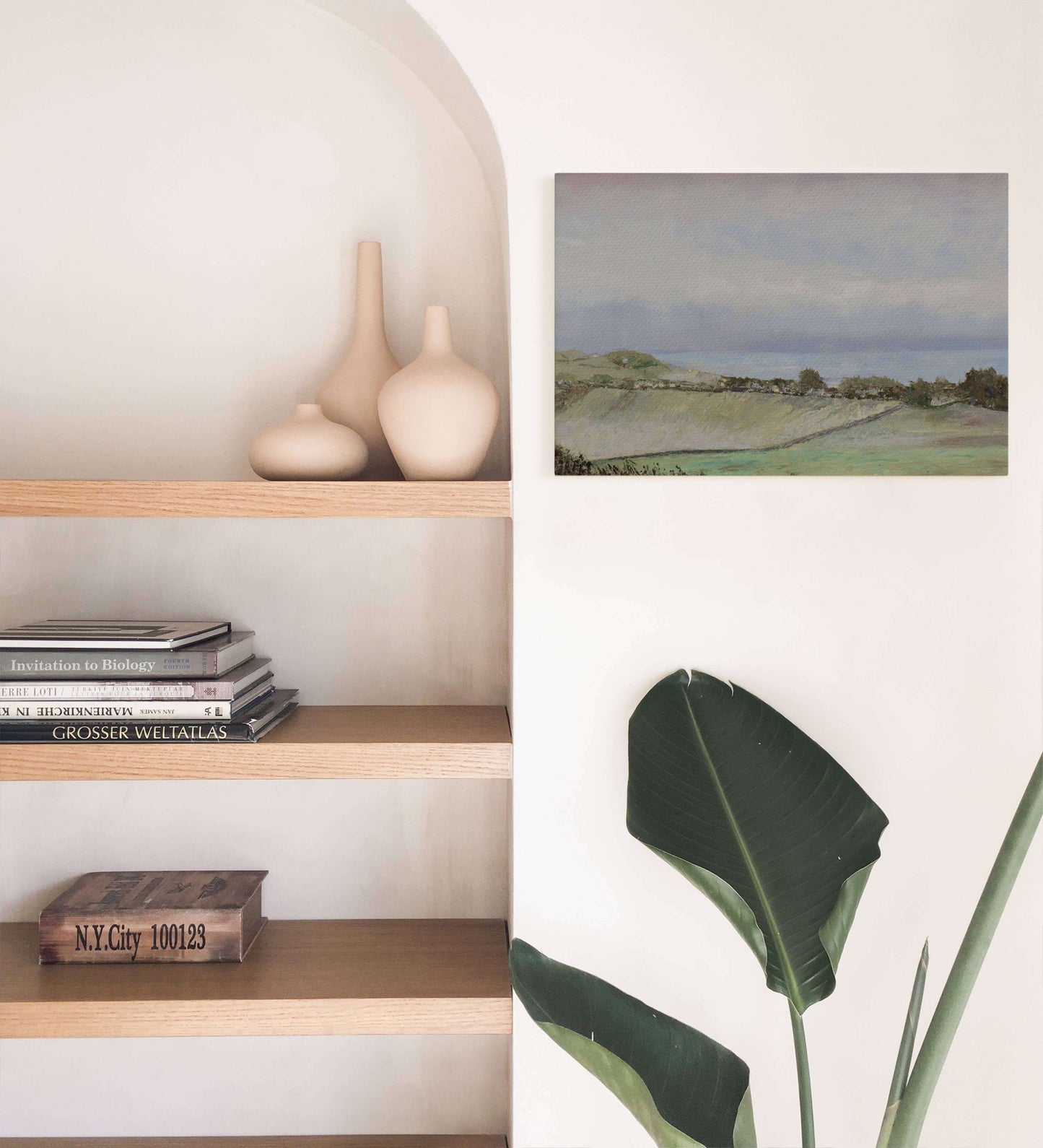 Maidencombe Misty Morning