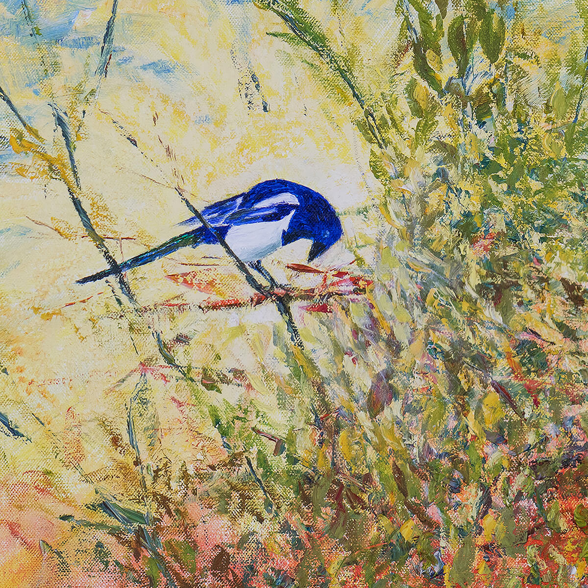 One For Sorrow, The Magpie Series