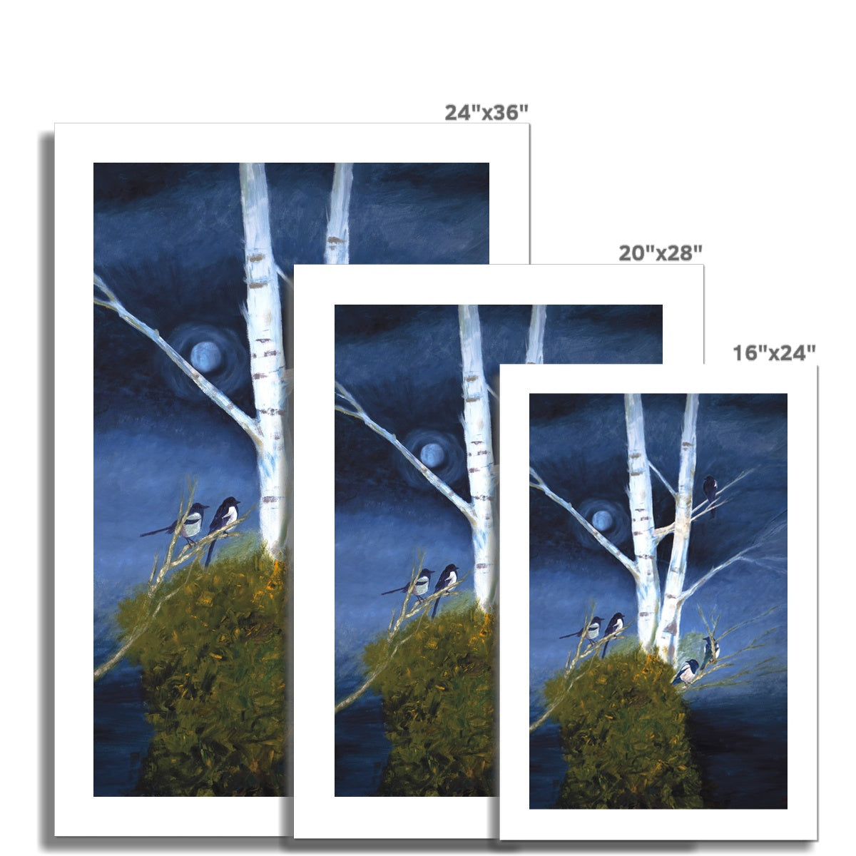 Five For Silver Fine Art Print