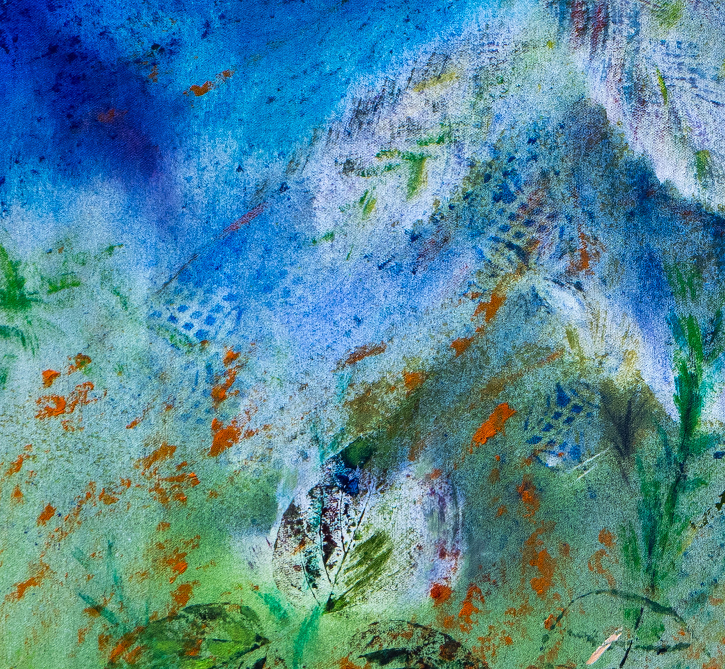 Dragon Fly 2