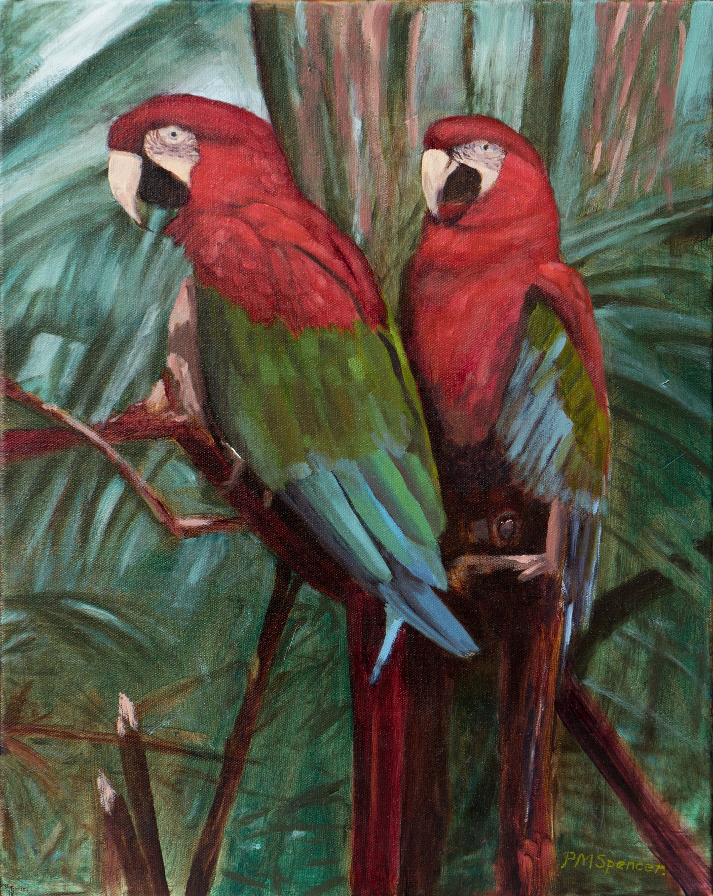 Here's Looking At You! Macaws.